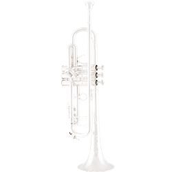 Bach 190 Bb Trumpet